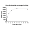 Kras Q61H Nucleotide Exchange Assay Kit